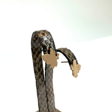 画像をギャラリービューアに読み込む, K10PG やいま オオゴマダラポストピアス