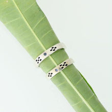 画像をギャラリービューアに読み込む, SVミンサーペアリング - tilla-earth